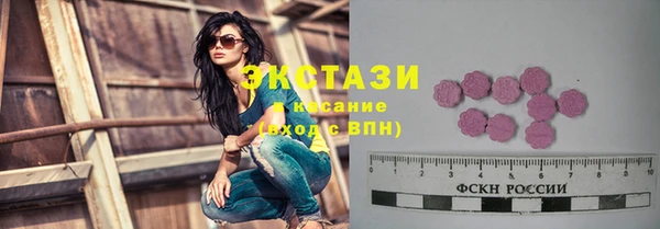 гашик Алексин