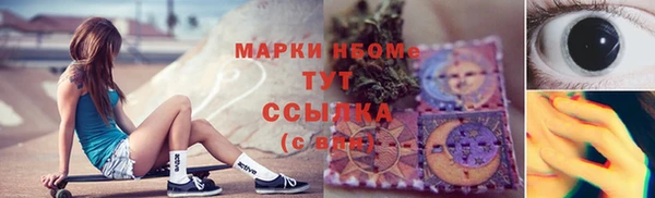 гашик Алексин