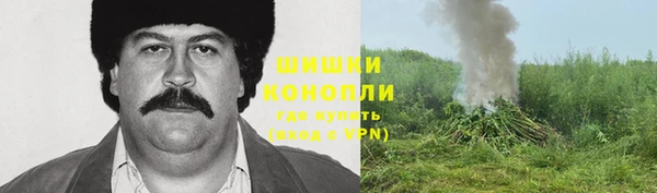 не бодяженный Алзамай