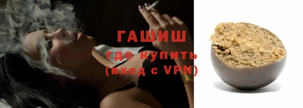 гашик Алексин