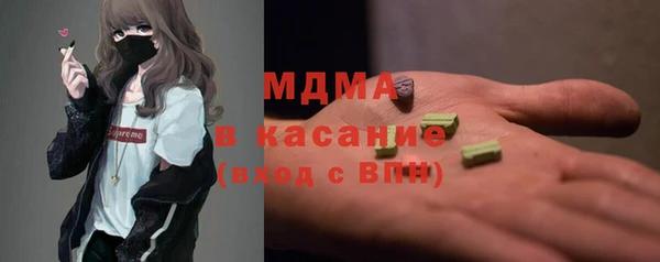 гашик Алексин