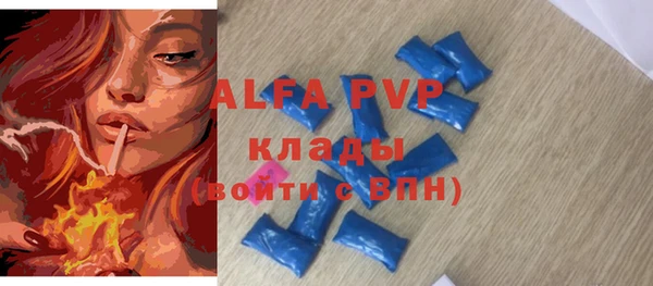 гашик Алексин